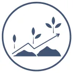 IT Maturity Roadmapping